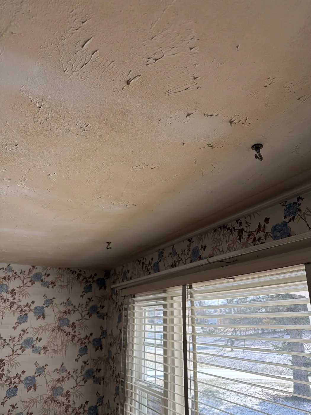 Moisture meter reading on drywall in Sycamore Park water loss